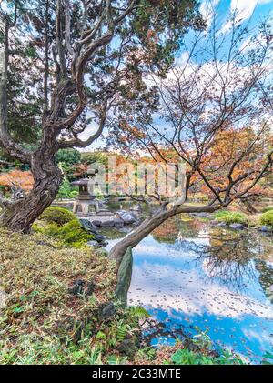 Yukimi lanterne de pierre apparaissant entre les pins matelassé à la manière d'un Ukiyoe d Kyufurukawa dans le jardin à Tokyo Banque D'Images