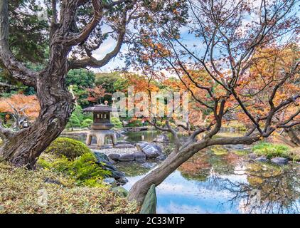 Yukimi lanterne de pierre apparaissant entre les pins matelassé à la manière d'un Ukiyoe d Kyufurukawa dans le jardin à Tokyo Banque D'Images