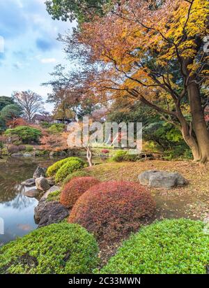 Tokyo Metropolitan Park KyuFurukawa du jardin japonais de l'étang de Shinji dominant par l'érable rouge momiji feuilles à l'automne. Banque D'Images