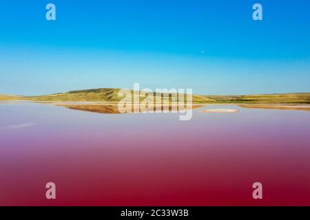 Lac rose Chokrak en Crimée Banque D'Images