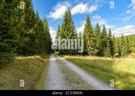 Route forestière d'orle à l'abri dans les montagnes Jizera, Jakuszyce, Pologne Banque D'Images