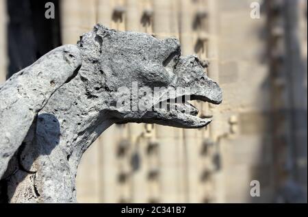 Chimère sur la Cathédrale Notre-Dame Banque D'Images