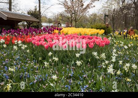 LISSE, Pays-Bas - 19 avril 2017 : Les Visiteurs du jardin de Keukenhof à Lisse, Hollande, Pays-Bas. Banque D'Images