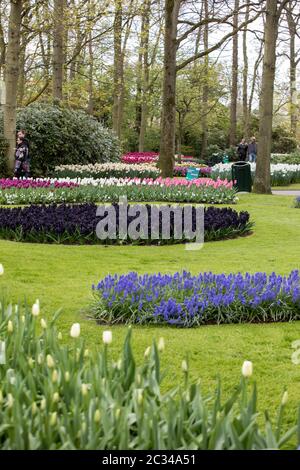 LISSE, Pays-Bas - 19 avril 2017 : Les Visiteurs du jardin de Keukenhof à Lisse, Hollande, Pays-Bas. Banque D'Images