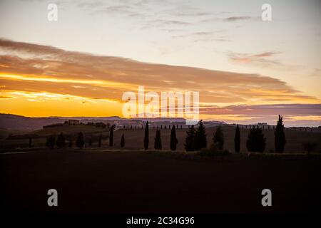 Toscana cypress silhouette dans la soirée Sunset Sky Pienza Paysage Italie Banque D'Images