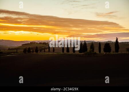 Toscana cypress silhouette dans la soirée Sunset Sky Pienza Paysage Italie Banque D'Images