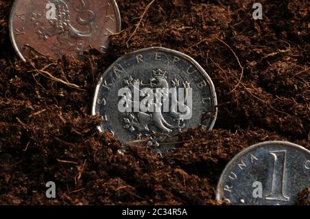 Les pièces de la République tchèque sont semées dans le sol Banque D'Images