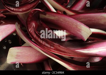 Pâtes avec radicchio rouge de Trévise et speck Banque D'Images