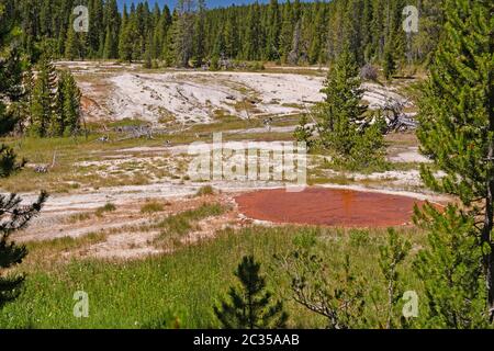 La région thermale de Dying dans la nature sauvage du bassin thermique de Shoshone dans le parc national de Yellowstone, Wyoming Banque D'Images