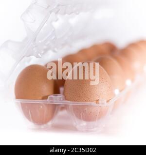 Les oeufs de poule dans un bac en plastique Banque D'Images