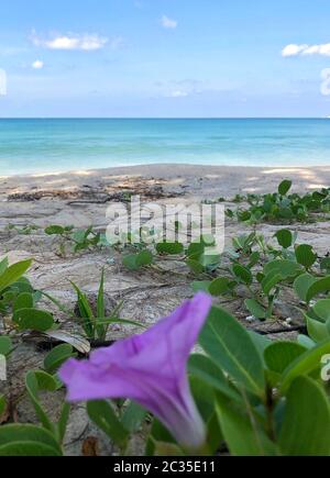 Bang Tao Beach sur l'océan en Thaïlande Banque D'Images