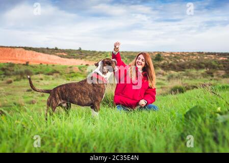 Jeune femme assise avec un terrier américain du Staffordshire Banque D'Images