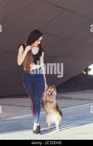 Entraînement d'un chien adulte pour marcher sur deux jambes Banque D'Images