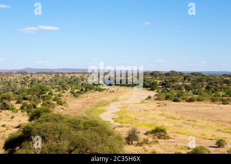 Safari africain. Route de terre dans la région de parc national de Tarangire Tanzanie , Paysage, l'Afrique. Banque D'Images