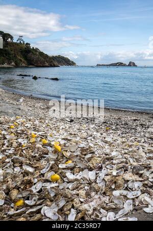 Des milliers de coquilles vides de mangé les huîtres jetés sur mer à Cancale, célèbre pour ses huîtres. Bretagne, France Banque D'Images