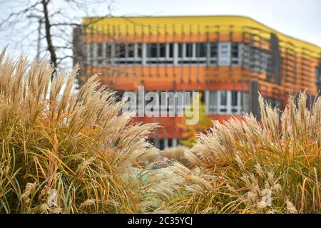 Gebäude der Wirtschaftsuniversität à Vienne - Construction de l'Université d'Economie à Vienne Banque D'Images