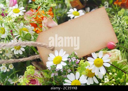 L'étiquette de papier vierge entre les fleurs Banque D'Images