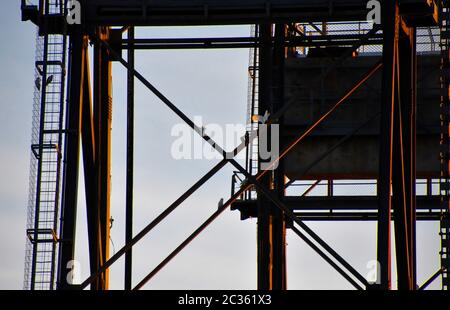 Cafards assis sur un pont de navire Banque D'Images