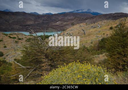 Paysage dans le parc national Torres del Paine avec des terres brûlées en arrière-plan par le grand feu en 2011-2012. Province d'Ultima Esperanza. Magallan Banque D'Images