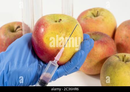 Femme avec gants utilise une seringue. Une modification génétique des fruits et légumes. Banque D'Images