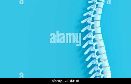 L'image de rendu 3D d'une colonne vertébrale sur un fond bleu. Conception de la santé et des problèmes de dos. Banque D'Images