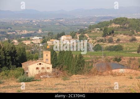 Vignobles de Freixenet en Espagne Banque D'Images