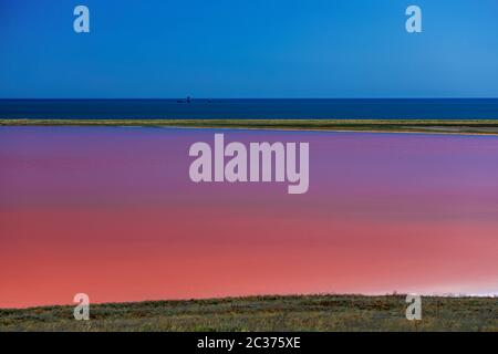 Lac salé rose Koyash en été, cap Opuk Kerch Crimée Banque D'Images