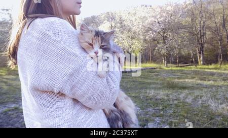 Femme tenant le chat sur un arrière-plan flou. Concept de bénévolat Banque D'Images