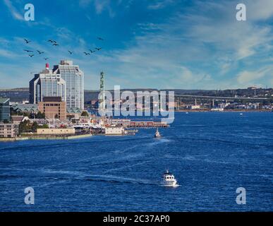 Vue sur Halifax Nouvelle-Écosse depuis le port Banque D'Images