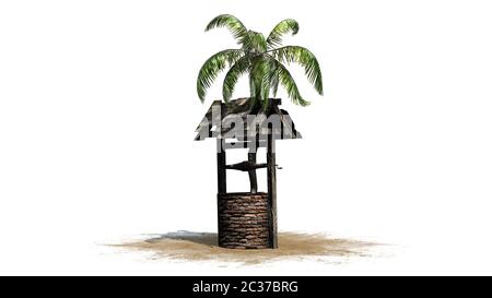 palmier dans le vieux puits sur le sable Banque D'Images