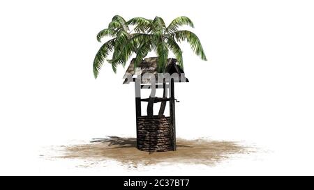 palmier dans le vieux puits sur le sable Banque D'Images