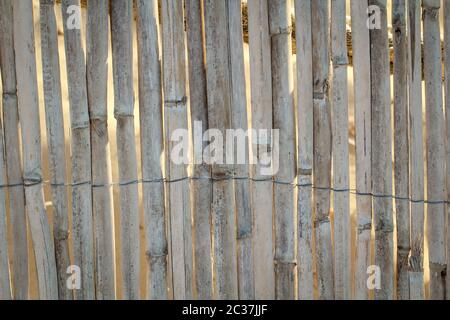 Détail d'un écran de confidentialité fait de pipe, paille ou bambou, texture Banque D'Images