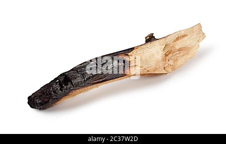 Bois charré isolé sur fond blanc Banque D'Images