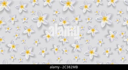 Motif vectoriel tendance et doux avec fleurs. Fleurs blanches. Pétunia. Fond gris. Motif élégant pour les textiles et le tissu intérieur. Banque D'Images