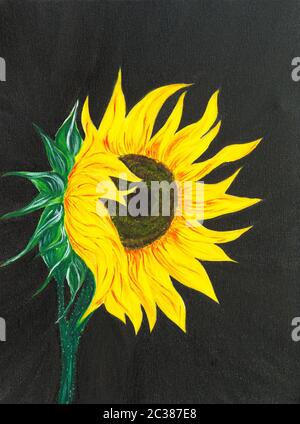 Peinture acrylique originale de tournesol sur fond noir sur toile.Impressionnisme moderne Banque D'Images