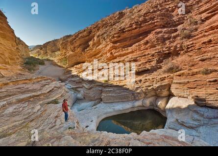 Randonneur aux piscines d'eau Ernst Tinaja, désert de Chihuahuan dans le parc national de Big Bend, Texas, États-Unis Banque D'Images