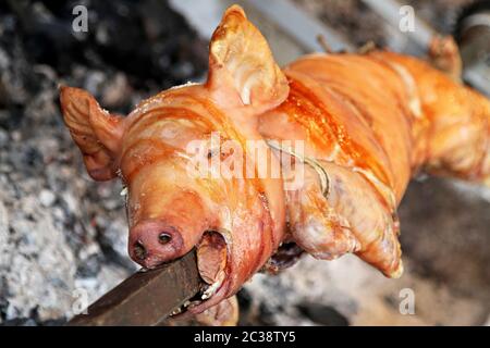 Petit cochon griller sur les cracher du feu Banque D'Images