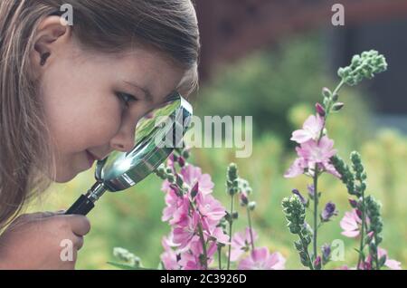 Curieuse fille explorant des fleurs avec la loupe Banque D'Images