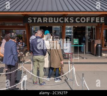 Les gens au café Stabucks à Ueno Park, Tokyo, Japon Banque D'Images