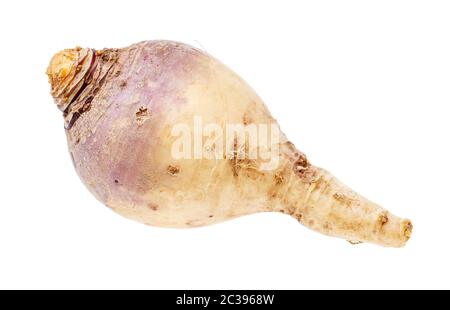 Racine de rutabaga mûrs isolé sur fond blanc Banque D'Images