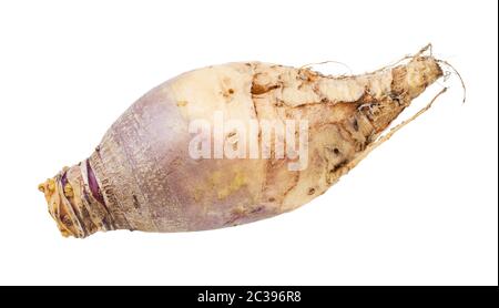 Rutabaga légumes frais isolé sur fond blanc Banque D'Images