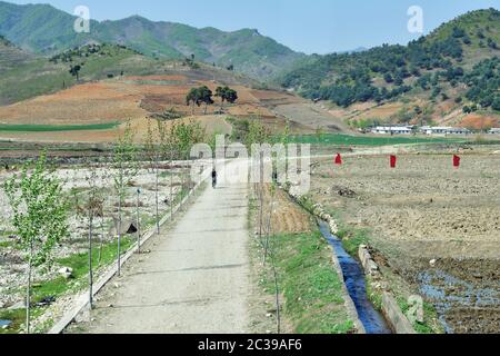 Région de Wondan, Corée du Nord - 3 mai 2019 : route de terre et champs agricoles. Un homme local fait des promenades à vélo. Paysage nord-coréen Banque D'Images