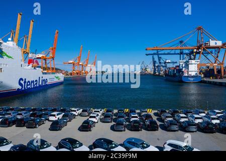 Vue aérienne du port de Gdynia. Stena Line ferry au terminal de conteneurs Baltic dans le port de Gdynia par dessus. Voivodeship de Poméranie, Pologne. Banque D'Images