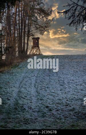 Dépeuplement dans une forêt d'hiver gelée sur une colline au coucher du soleil Banque D'Images