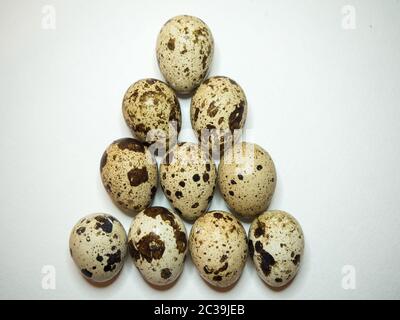 Oeufs de caille de groupe sur un fond blanc Banque D'Images