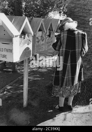 Une dame âgée se tient devant une rangée de boîtes contenant des journaux religieux et des magazines de diverses églises et lit l'une d'entre elles. Banque D'Images