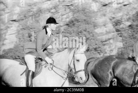 Chasse par force à Salzbourg en 1965: Chasseurs à cheval. Banque D'Images