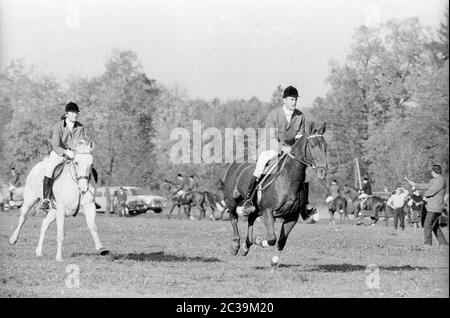 Chasse par force à Salzbourg en 1965: Chasseurs à cheval. Banque D'Images