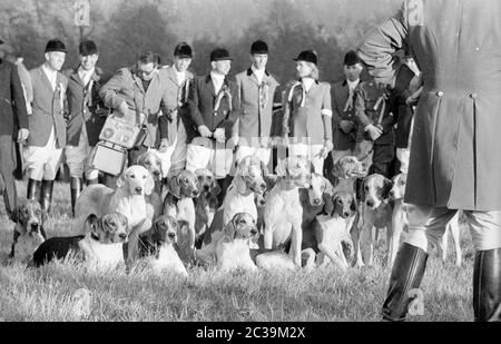 Chasse par force à Salzbourg en 1965. Chasseurs et chiens. Banque D'Images