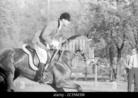 Chasse par force à Salzbourg en 1965: Hunter à cheval. Banque D'Images